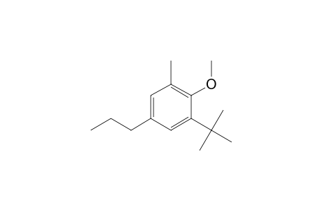 Benzene, 1-(1,1-dimethylethyl)-2-methoxy-3-methyl-5-propyl-