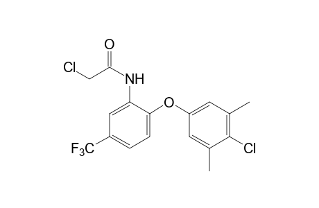 2-CHLORO-6'-[(4-CHLORO-3,5-XYLYL)OXY]-alpha,alpha,alpha-TRIFLUORO-m-ACETOTOLUIDIDE