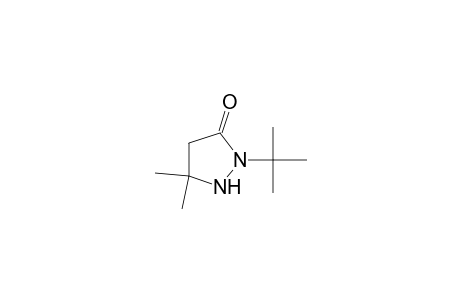 2-tert-Butyl-5,5-dimethyl-3-pyrazolidinone