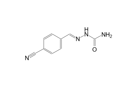 benzene, 1-[(E)-[(aminocarbonyl)hydrazono]methyl]-4-cyano-