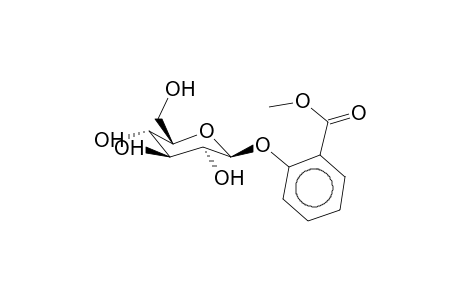 (2-Methoxycarbonyl-phenyl)-b-d-glucopyranoside