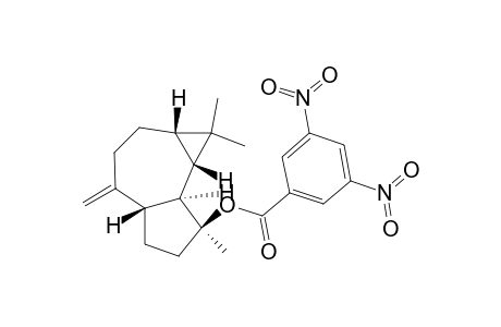 1H-Cycloprop[e]azulen-7-ol, decahydro-1,1,7-trimethyl-4-methylene-, 3,5-dinitrobenzoate, [1aS-(1a.alpha.,4a.alpha.,7.alpha.,7a.beta.,7b.alpha.)]-