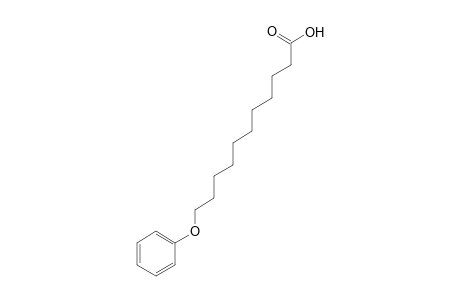 11-Phenoxyundecanoic acid