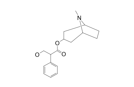 3-HYDROXY-2-PHENYLPROPIONIC ACID, 8-METHYL-8-AZABICYCLO[3.2.1]OCT-3-YL ESTER