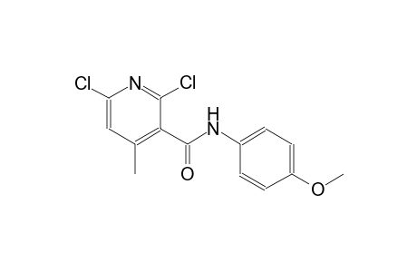 3-pyridinecarboxamide, 2,6-dichloro-N-(4-methoxyphenyl)-4-methyl-