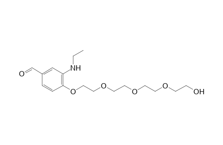 1-[2'-(Ethylamino)-4'-formylphenyl]-1,4,7,10-tetraoxa-12-hydroxydodecane