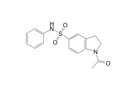 1-Acetyl-N-phenyl-5-indolinesulfonamide