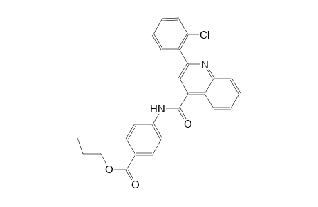 benzoic acid, 4-[[[2-(2-chlorophenyl)-4-quinolinyl]carbonyl]amino]-, propyl ester