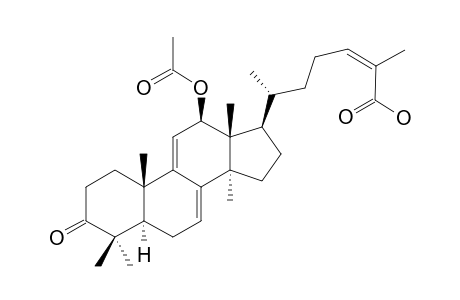 TYROMYCIC-ACID-G;(24Z)-12-BETA-ACETOXY-LANOSTA-7,9(11),24-TRIEN-26-OIC-ACID