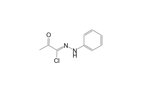 propanehydrazonoyl chloride, 2-oxo-N-phenyl-, (1Z)-
