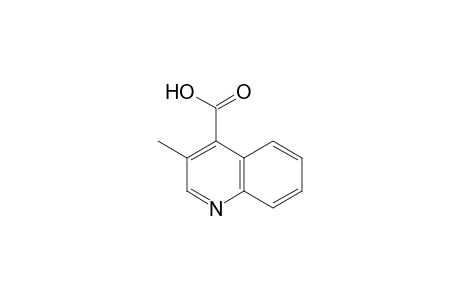 Cinchoninic acid, 3-methyl-