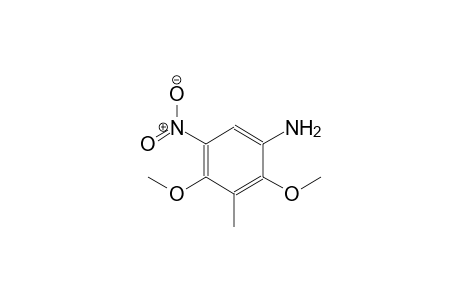 benzenamine, 2,4-dimethoxy-3-methyl-5-nitro-