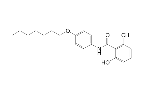 Benzamide, N-[4-(heptyloxy)phenyl]-2,6-dihydroxy-