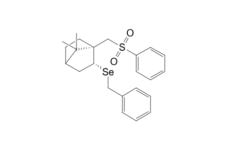 7,7-Dimethyl-1-(phenylsulfonylmethyl)-2-exo-benzylselenylbicyclo[2.2.1]heptan