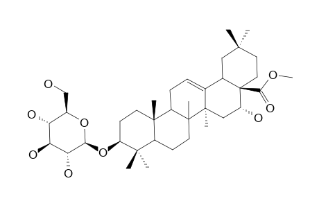 3-O-BETA-D-GLUCOPYRANOSYL-ECHINOCYSTIC-ACID-METHYLESTER