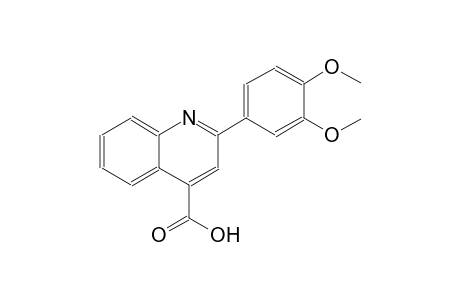 2-(3,4-dimethoxyphenyl)-4-quinolinecarboxylic acid