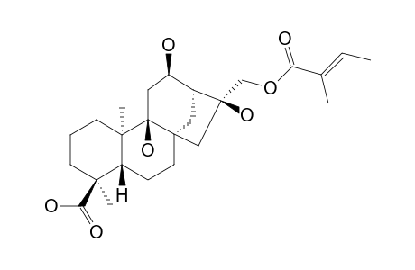 ENT-17-TIGLYLOXY-9-ALPHA,12-ALPHA,16-ALPHA-TRIHYDROXYKAURAN-18-OIC-ACID