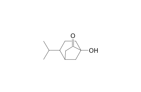 Bicyclo[3.2.1]octan-6-one, 5-hydroxy-2-(1-methylethyl)-, endo-(.+-.)-