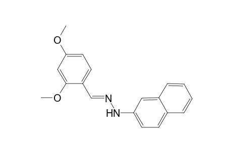 2,4-Dimethoxybenzaldehyde 2-naphthylhydrazone