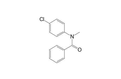 N-(4-chlorophenyl)-N-methylbenzamide