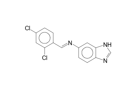 N-[(E)-(2,4-Dichlorophenyl)methylidene]-1H-benzimidazol-6-amine