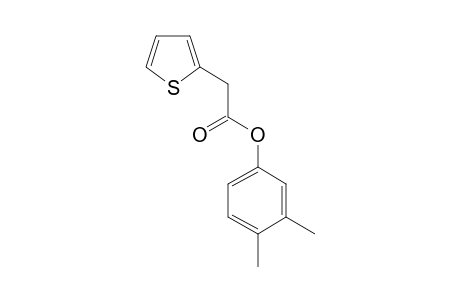 Thiophene-2-acetic acid, 3,4-dimethylphenyl ester