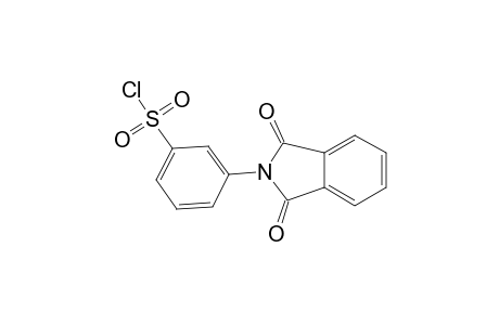 Benzenesulfonyl chloride, 3-(1,3-dihydro-1,3-dioxo-2H-isoindol-2-yl)-