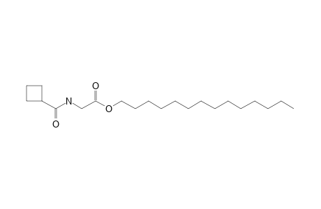 Glycine, N-(cyclobutylcarbonyl)-, tetradecyl ester