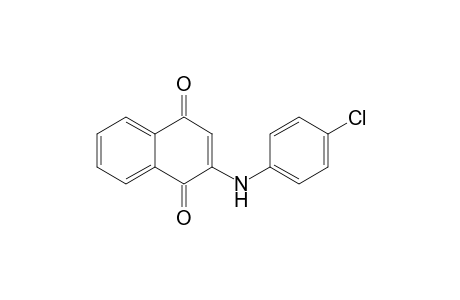 1,4-Naphthalenedione, 2-[(4-chlorophenyl)amino]-