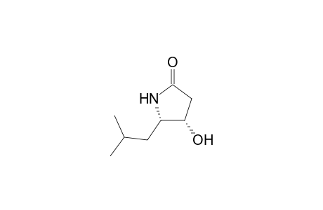 Statin lactam (2-Isobutyl-3-hydroxypyrrolidin-5-one)
