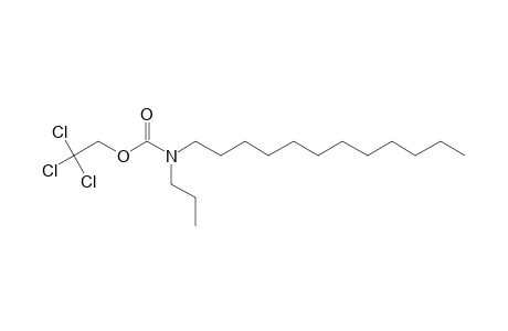 Carbonic acid, monoamide, N-propyl-N-dodecyl-, 2,2,2-trichloroethyl ester