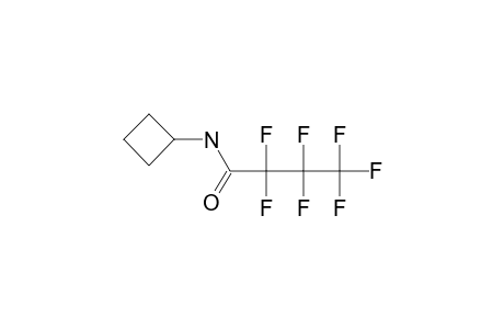 Cyclobutylamine, N-heptafluorobutyryl-