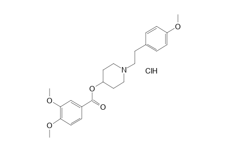 veratric acid, 1-(p-methoxyphenethyl)-4-piperidyl ester, hydrochloride