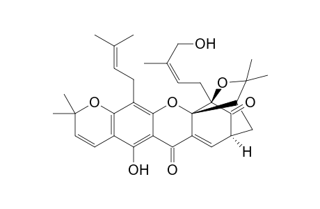 isomorellinol