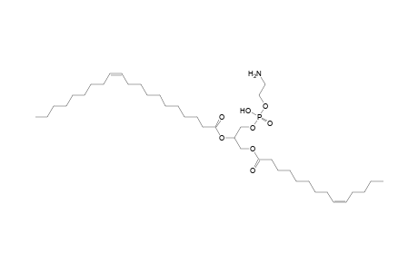 PE 14:1_20:1