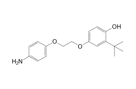 4-[2-(p-aminophenoxy)ethoxy]-2-tert-butylphenol