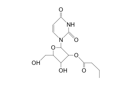 2'-O-Butyryl-uridine
