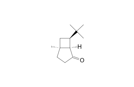(1.alpha.,5.alpha.,7.beta.)-7-(t-Butyl)-5-methylbicyclo[3.2.0]heptan-2-one