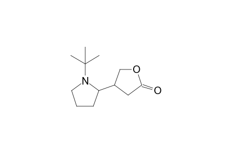 4-(1'-t-Butylpyrrolidin-2'-yl)-4,5-dihydrofuran-2(3H)-one