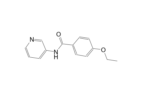 4-ethoxy-N-(3-pyridinyl)benzamide