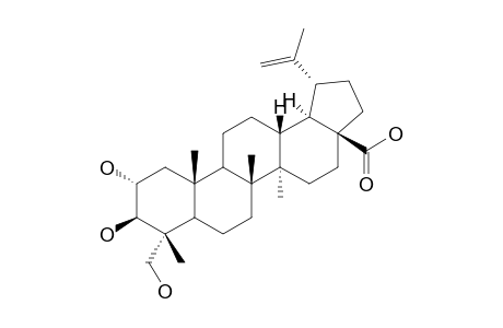 HOVENIC-ACID;2-ALPHA,3-BETA,23-TRIHYDROXYLUP-20(29)-EN-28-OIC-ACID;2-ALPHA,23-DIHYDROXYBETULINIC-ACID