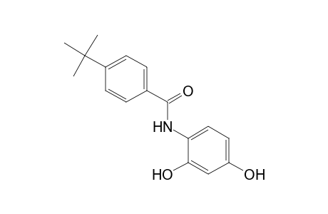 Benzamide, N-(2,4-dihydroxyphenyl)-4-(1,1-dimethylethyl)-