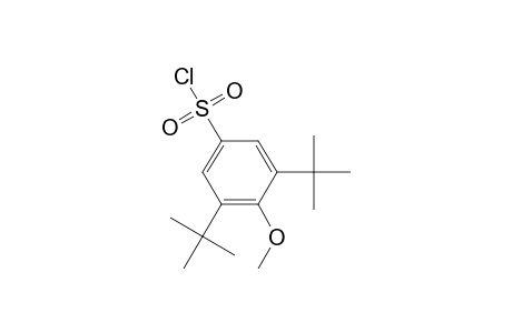 3,5-Di-tert-Butyl-4-methoxybenzenesulfonyl chloride
