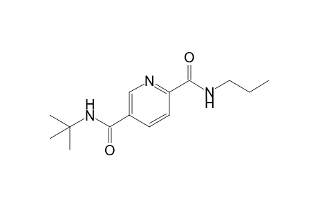 N(5)-[1',1'-Dimethylethyl]-N(2)-propyl-2,5-pyridinedicarboxamide