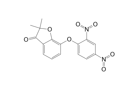 3(2H)-Benzofuranone, 7-(2,4-dinitrophenoxy)-2,2-dimethyl-