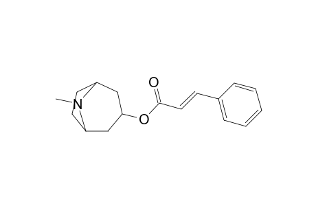 (8-methyl-8-azabicyclo[3.2.1]octan-3-yl) (E)-3-phenylprop-2-enoate
