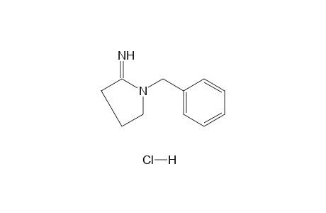 1-BENZYL-2-IMINOPYRROLIDINE, HYDROCHLORIDE