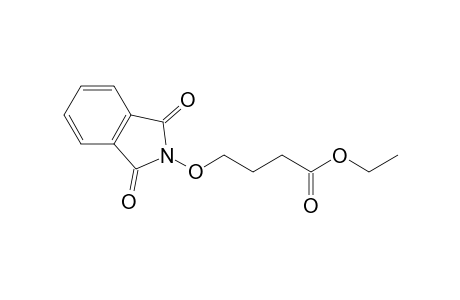 4-Phthalimidooxy-butanoic acid, ethyl ester