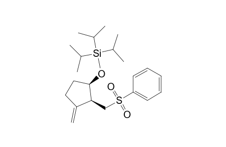 cis-3-Methylene-2-[(phenylsulfonyl)methyl]-1-(triisopropylsilyloxy)cyclopentane