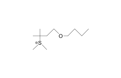 (1-Butoxy-3-methyl-but-3-yl)-dimethyl-sulfonium cation